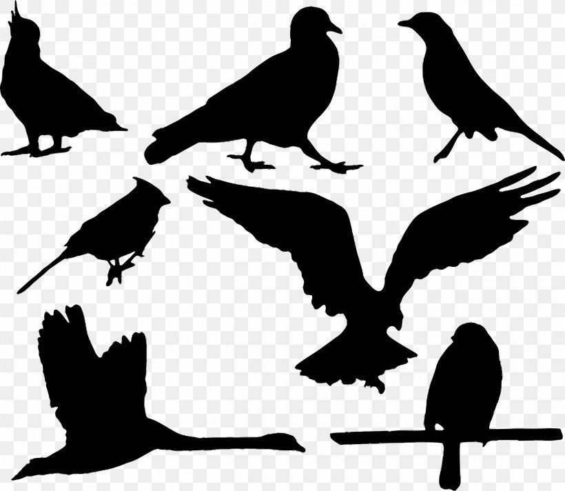 Bird Silhouette Eagle, PNG, 2500x2171px, Bird, Beak, Black And White, Branch, Crow Download Free