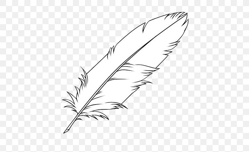 Feather Drawing Coloring Book Clip Art Bird, PNG, 670x503px, Feather, Bird, Black And White, Color, Coloring Book Download Free