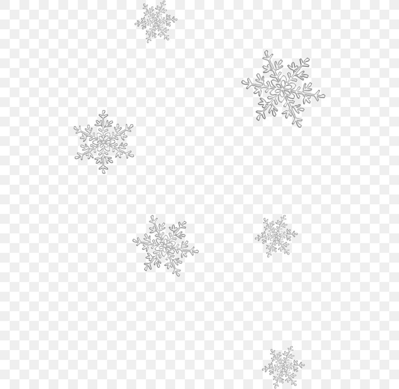 Snowflake Image JPEG, PNG, 520x800px, Snowflake, Black And White, Blizzard, Branch, Monochrome Download Free