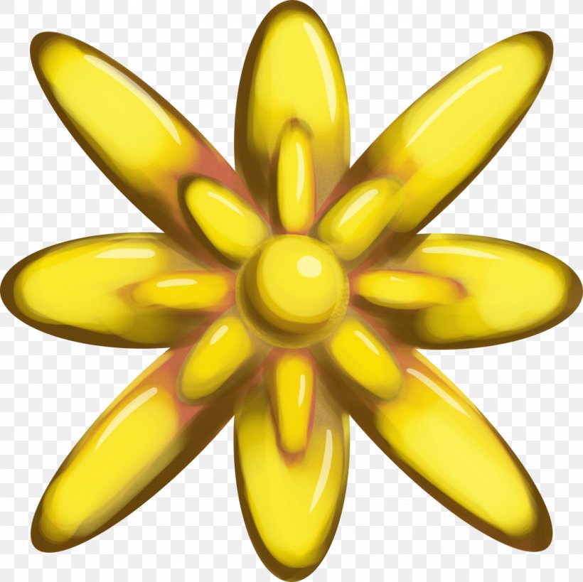 Symmetry Fruit, PNG, 1071x1070px, Symmetry, Flower, Flowering Plant, Fruit, Petal Download Free