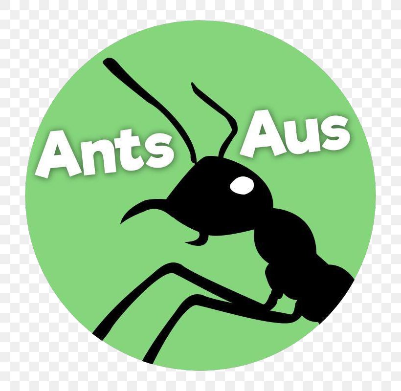 Argentine Ant Aus Ants Ant-keeping Messor, PNG, 800x800px, Ant, Antkeeping, Aphaenogaster, Argentine Ant, Australia Download Free