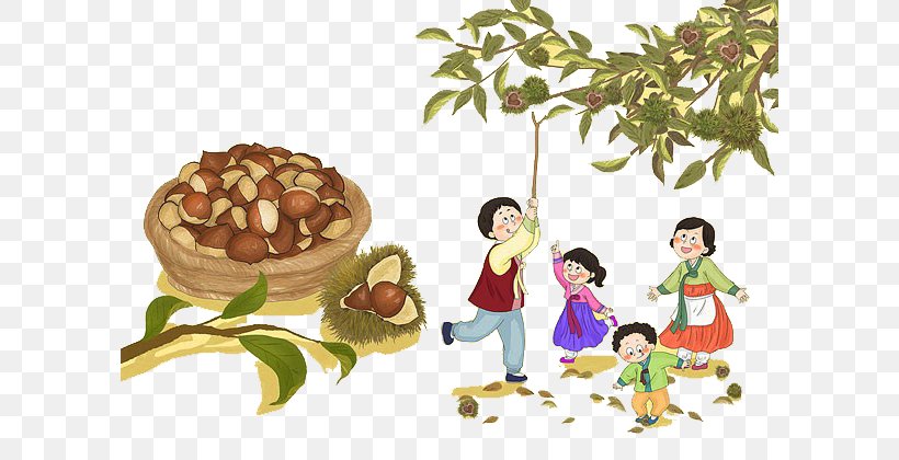 Chinese Chestnut Castanea Crenata Drawing Cartoon Illustration, PNG, 600x420px, Chinese Chestnut, Art, Cartoon, Castanea Crenata, Chestnut Download Free