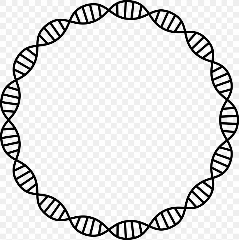 DNA Nucleic Acid Double Helix Cell Clip Art, PNG, 2311x2318px, Dna, Area, Black, Black And White, Cell Download Free