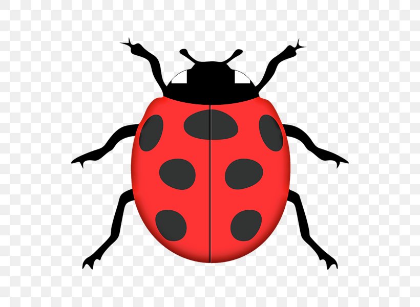 Ladybird Silhouette Stencil Clip Art, PNG, 600x600px, Ladybird, Art, Arthropod, Artwork, Beetle Download Free