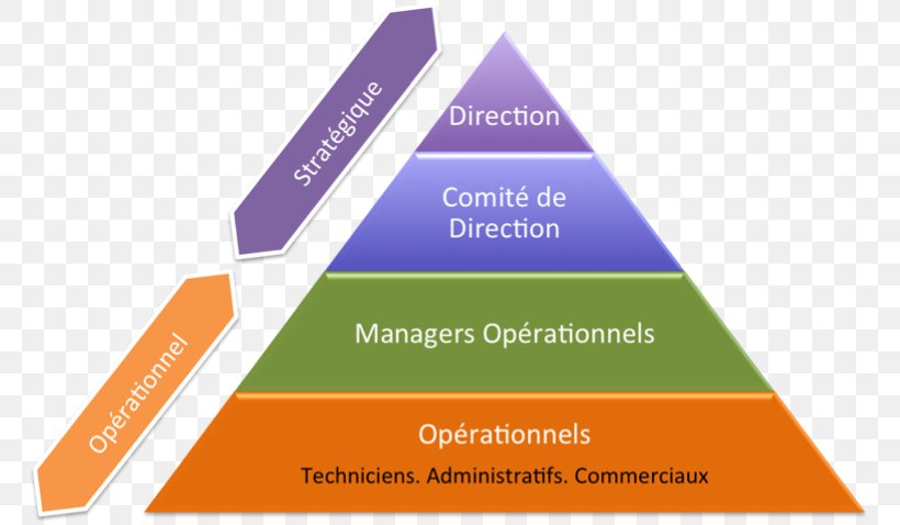 Management Stratégique Organization Natural Environment Orange S.A., PNG, 770x478px, Organization, Brand, Diagram, Management, Natural Environment Download Free