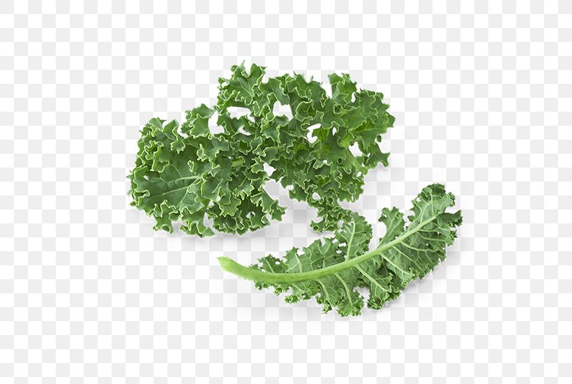 Smoothie Juice Kale Leaf Vegetable Food, PNG, 550x550px, Smoothie, Brassica Oleracea, Collard Greens, Food, Fotosearch Download Free