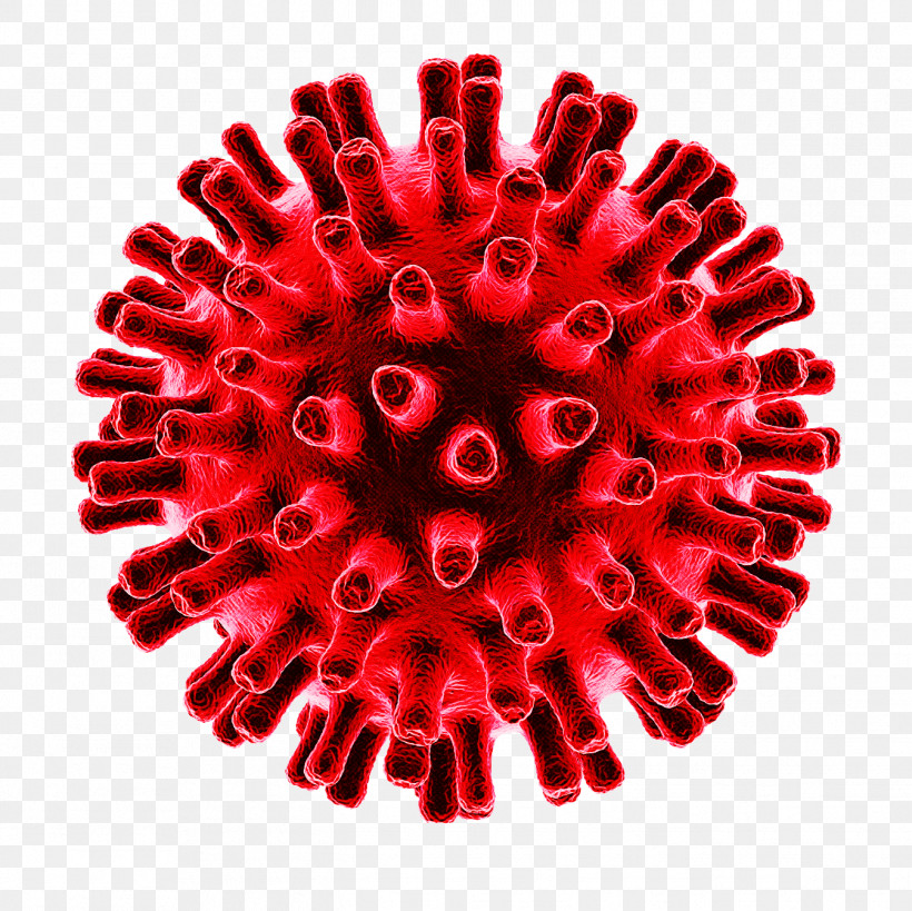 2019–20 Coronavirus Pandemic Virus Coronavirus Disease 2019 Coronavirus Pandemic, PNG, 1346x1346px, Virus, Cause, Coronavirus, Coronavirus Disease 2019, Flu Download Free