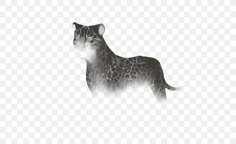 Cat Whiskers Felidae Lion Hyena, PNG, 640x500px, Cat, Animal, Big Cat, Big Cats, Carnivoran Download Free