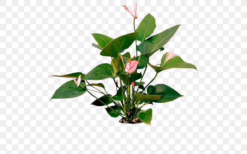 Cut Flowers Beach Rose Flowerpot, PNG, 512x512px, Cut Flowers, Beach Rose, Branch, Flower, Flowerpot Download Free