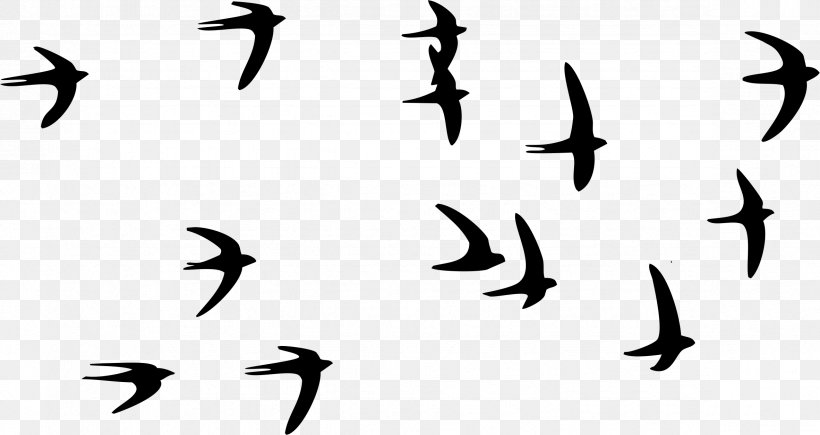 Swallow Bird Paper Tattoo Flock, PNG, 2364x1256px, Swallow, Animal Migration, Barn Swallow, Beak, Bird Download Free