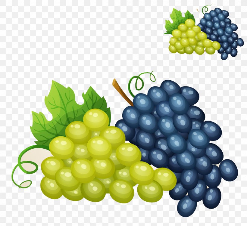 Wine Grape Royalty-free Illustration, PNG, 1000x917px, Wine, Drawing, Drink, Food, Fruit Download Free
