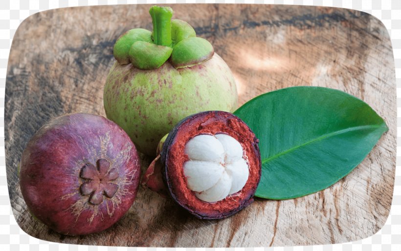 Biofach South East Asia Organic Food Purple Mangosteen, PNG, 980x615px, 2018, Organic Food, Asia, Biofach, Food Download Free