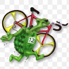 Sport + Events E.V. Velten MyRacePartner.comBike Event - Teamwork PNG