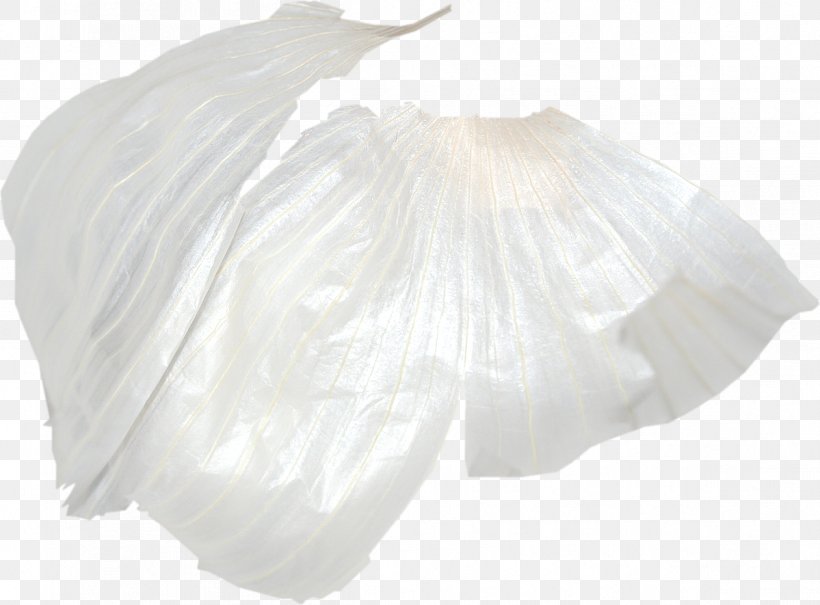 White Garlic Download, PNG, 1199x885px, White, Black And White, Bridal Accessory, Bridal Clothing, Flower Download Free