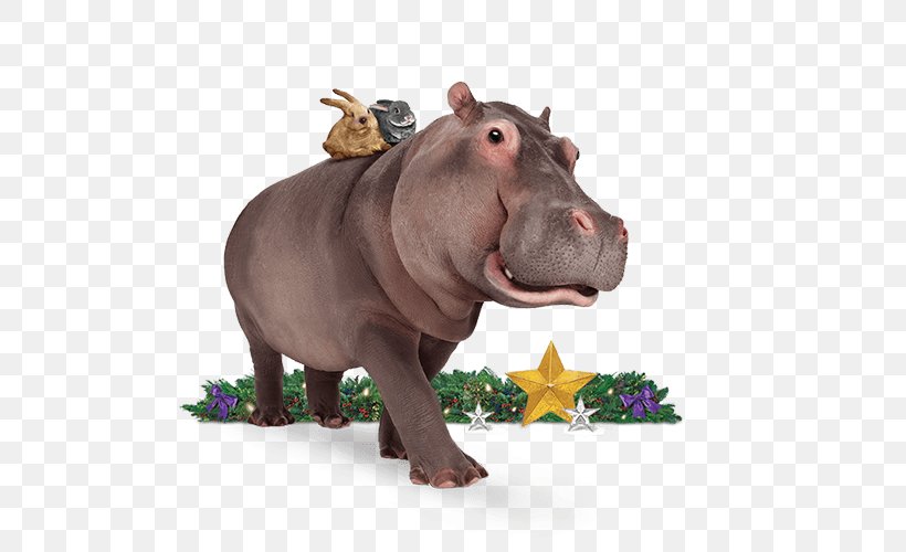 Hippopotamus Terrestrial Animal Wildlife Snout Telus, PNG, 500x500px, Hippopotamus, Animal, Fauna, Organism, Snout Download Free