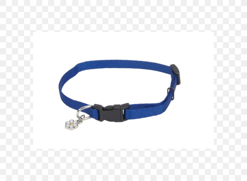 Leash Dog Collar Dog Collar Dog Harness, PNG, 600x600px, Leash, Apartment, Blue, Coastal Pet Products Inc, Collar Download Free