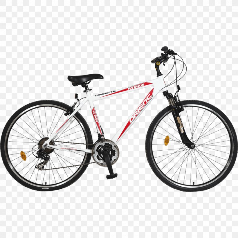 Road Bicycle Mountain Bike Bicycle Shop Cyclo-cross, PNG, 1200x1200px, Bicycle, Bicycle Accessory, Bicycle Drivetrain Part, Bicycle Frame, Bicycle Frames Download Free