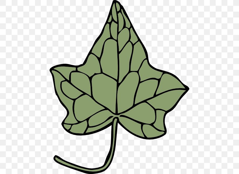 Green Leaf Background, PNG, 480x598px, Inhaler, Asthma, Flower, Green, Leaf Download Free