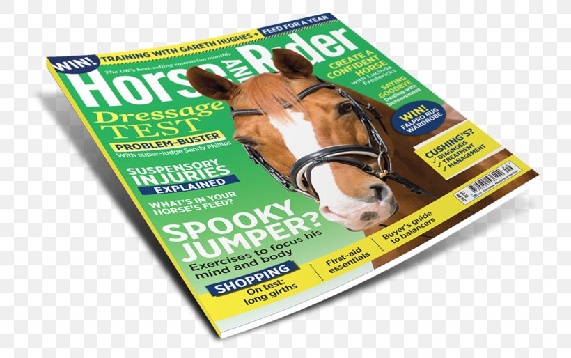 Horse&Rider Equestrian Snout Magazine, PNG, 767x514px, Horserider, Advertising, Brand, Door, Equestrian Download Free