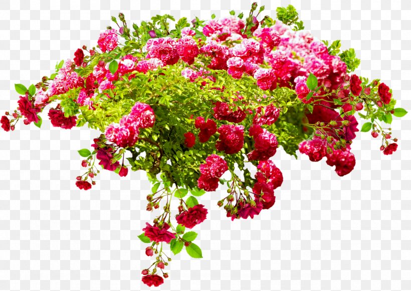 Birthday Flower Bouquet Daytime International Day For Older Persons Holiday, PNG, 1280x909px, Birthday, Birth, Branch, Cut Flowers, Daytime Download Free