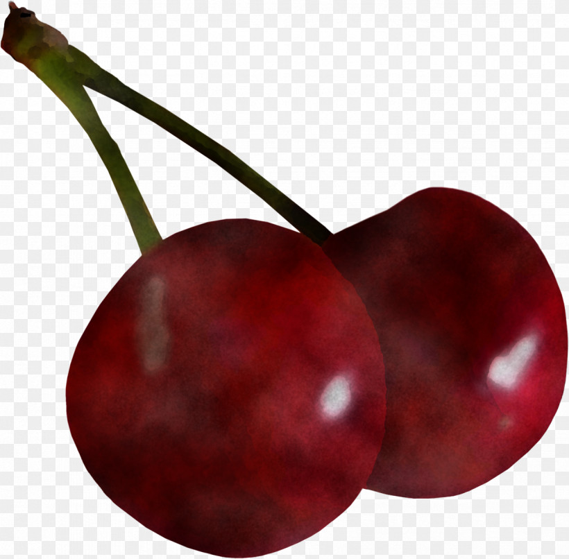 Cherry European Plum Fruit Red Plant, PNG, 1233x1213px, Cherry, Black Cherry, Drupe, European Plum, Food Download Free