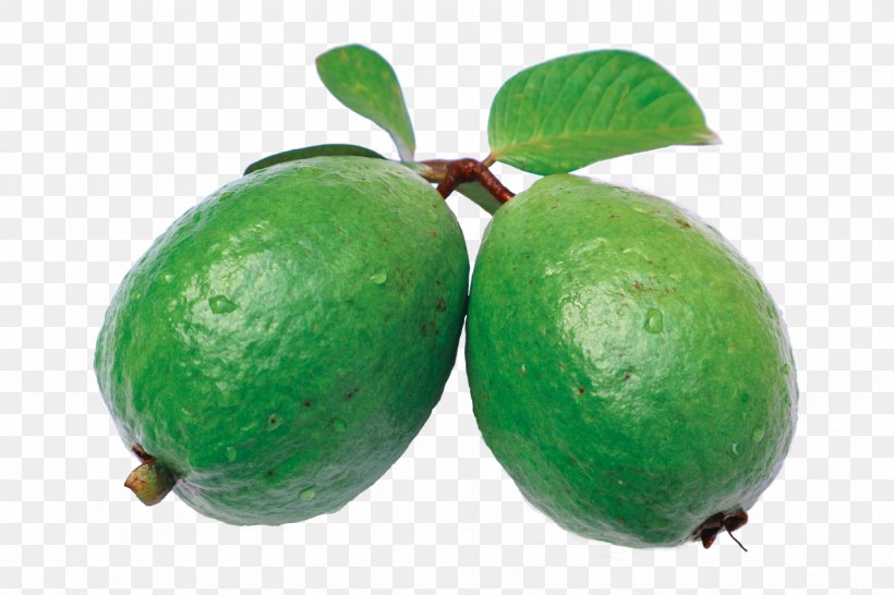 Juice Common Guava Auglis, PNG, 1280x853px, Juice, Auglis, Avocado, Common Guava, Feijoa Download Free