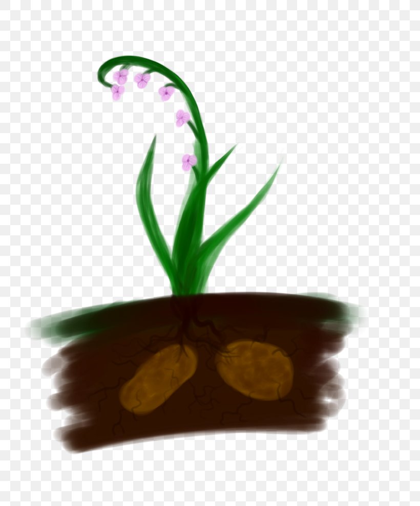 Leaf Flowerpot Plant Stem, PNG, 808x989px, Leaf, Flowerpot, Plant, Plant Stem Download Free