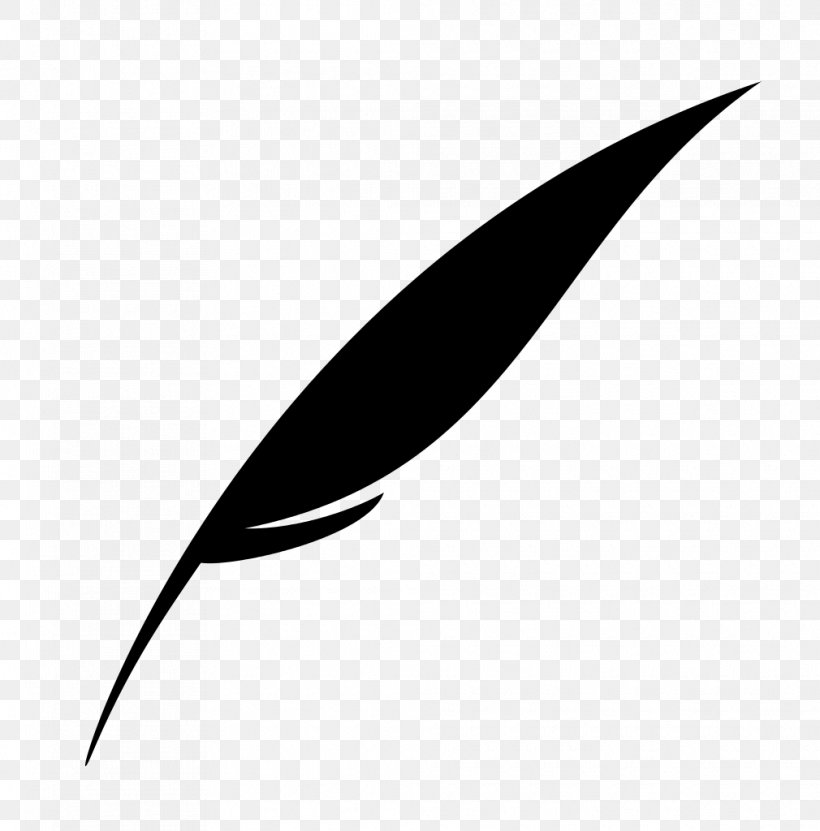 Monochrome Photography Quill Corp Leaf, PNG, 1010x1024px, Monochrome Photography, Black And White, Leaf, Monochrome, Photography Download Free