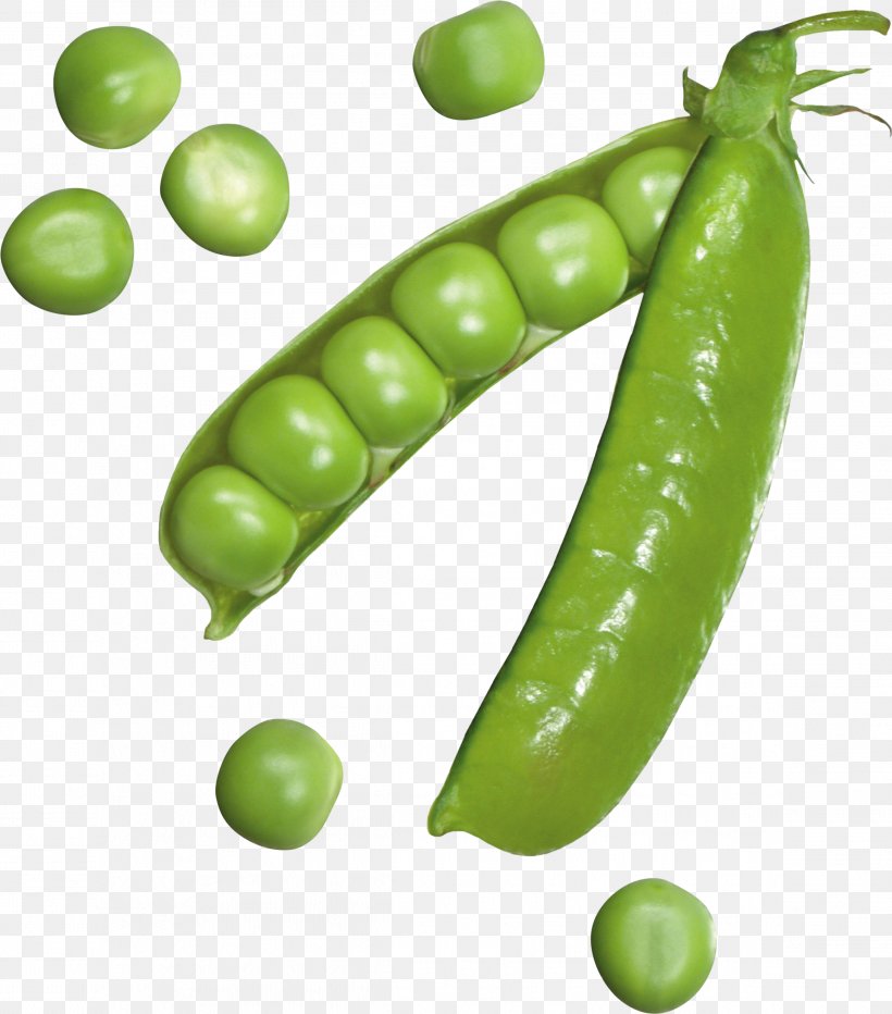 Pea Icon Wallpaper, PNG, 2319x2636px, Snow Pea, Auglis, Bean, Broad Bean, Commodity Download Free