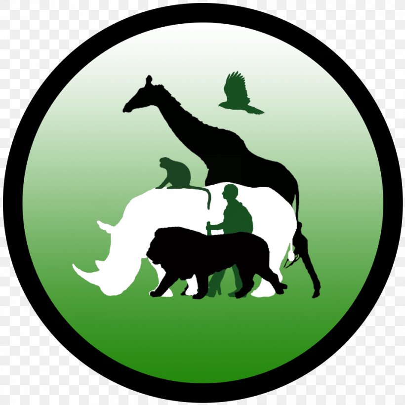 Wildlife Vagabond Horse Logo Brannfjell School, PNG, 954x954px, Wildlife, Amazoncom, Back Pain, Biologist, Book Download Free