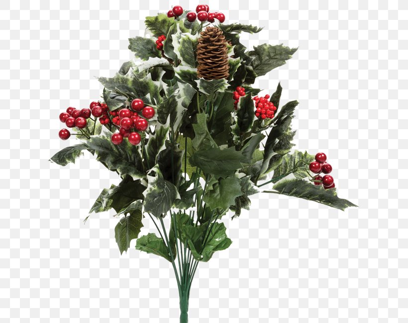 Berry Shrub American Holly Common Holly Tree, PNG, 650x650px, Berry, American Holly, Common Holly, Conifer Cone, Cut Flowers Download Free