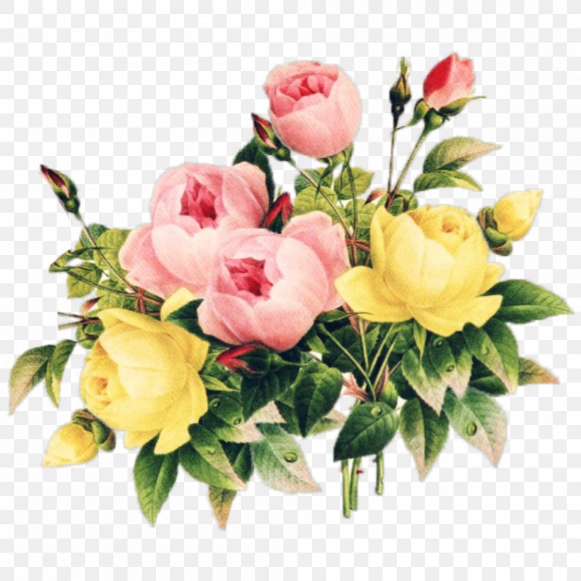 Garden Roses, PNG, 2000x2000px, Flower, Bouquet, Cut Flowers, Flowering Plant, Garden Roses Download Free