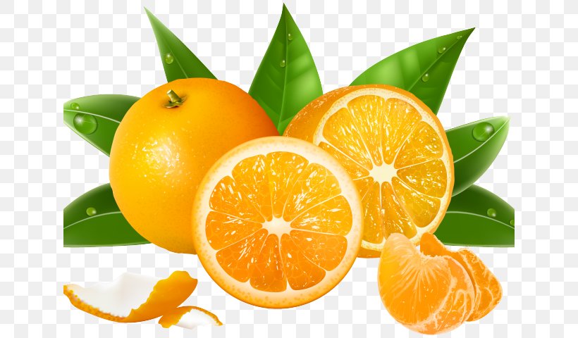 Juice Orange Vector Graphics Clementine, PNG, 640x480px, Juice, Bitter Orange, Chenpi, Citric Acid, Citrus Download Free