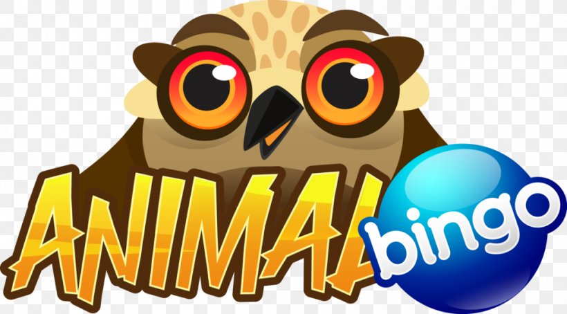 Owl Beak Logo Clip Art, PNG, 1000x554px, Owl, Beak, Bird, Bird Of Prey, Logo Download Free