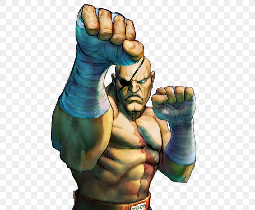 Super Street Fighter IV Street Fighter V Street Fighter II: The World Warrior, PNG, 640x677px, Street Fighter Iv, Arm, Art, Blanka, Capcom Download Free