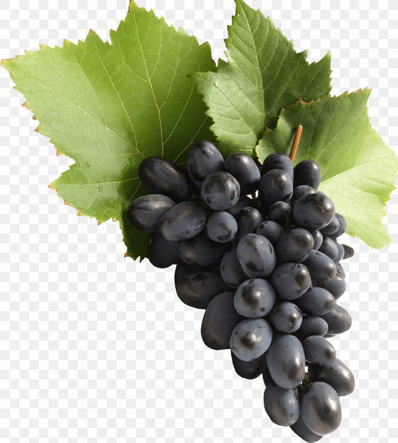 Common Grape Vine Juice Must, PNG, 1731x1925px, Wine, Berry, Blueberry, Climacteric, Common Grape Vine Download Free