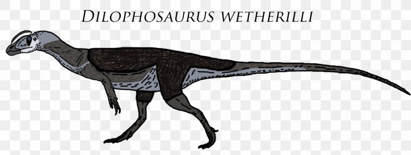 Dilophosaurus Sinemurian Velociraptor Theropods Chilesaurus, PNG, 1701x643px, Dilophosaurus, Animal Figure, Deviantart, Dimorphodon, Dinosaur Download Free