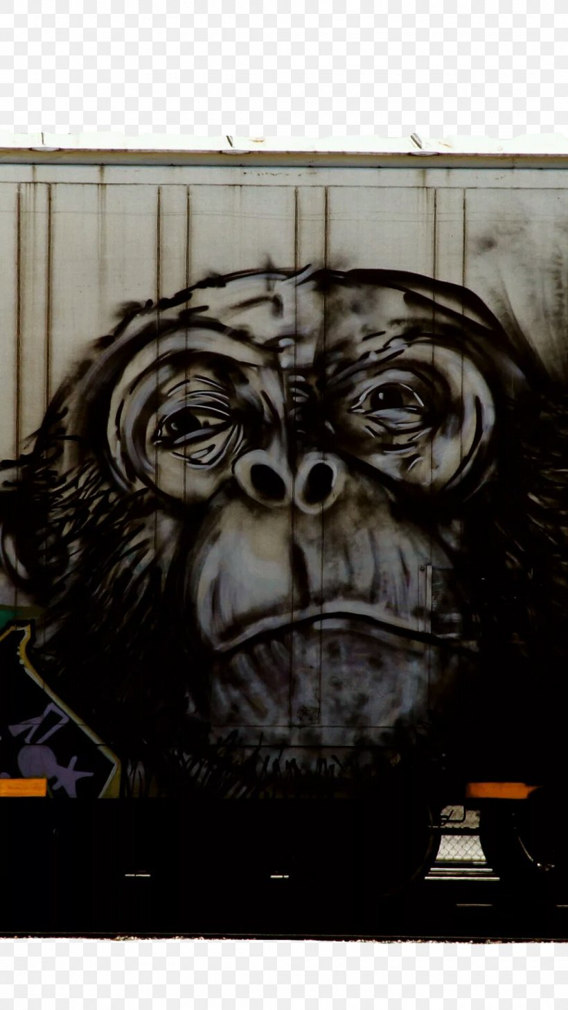 Freight Train Graffiti Wall Illustration, PNG, 1080x1920px, Graffiti, Art, Great Ape, Monkey, Mural Download Free