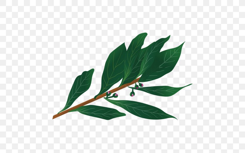 Herb Bay Leaf, PNG, 512x512px, Herb, Bay Laurel, Bay Leaf, Branch, Herbaceous Plant Download Free