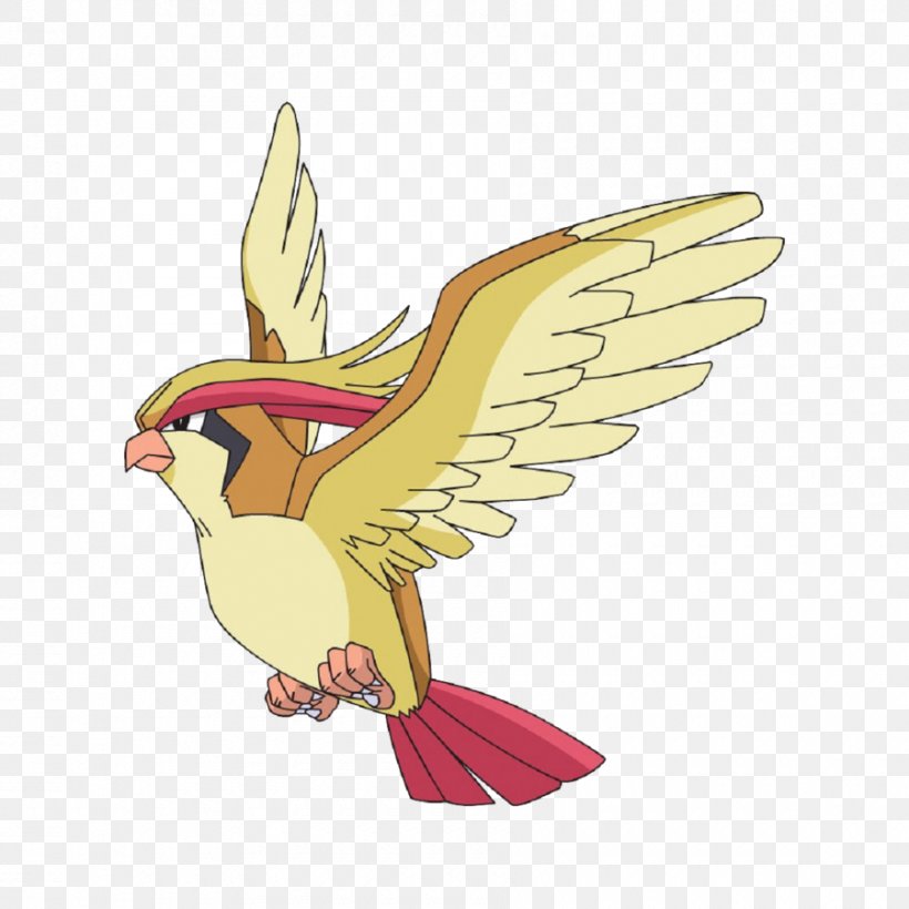 Ash Ketchum Pidgeotto Pokémon Desktop Wallpaper, PNG, 900x900px, Ash Ketchum, Beak, Bird, Bird Of Prey, Bulbasaur Download Free