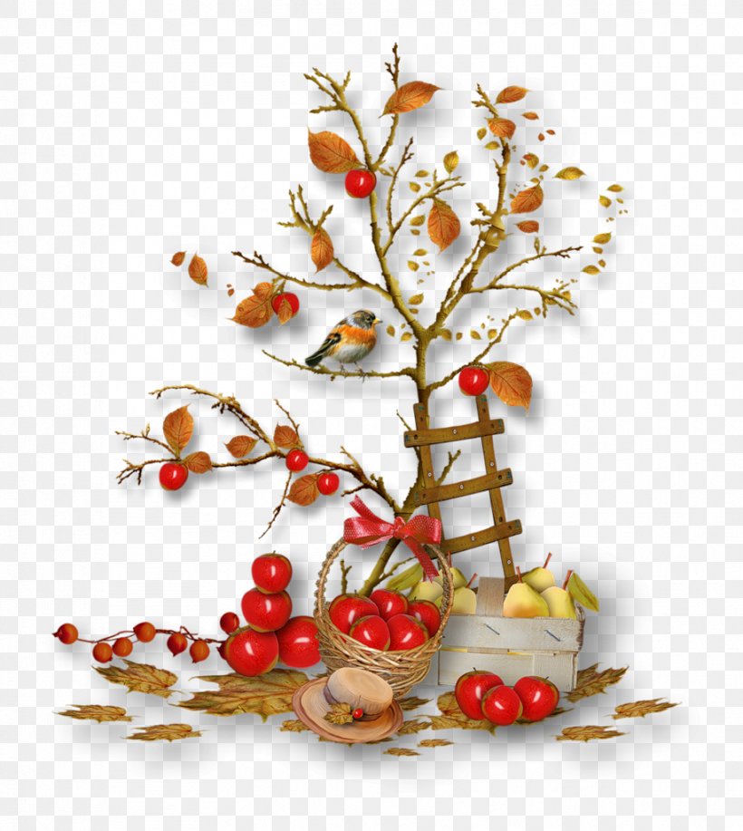 Autumn, PNG, 915x1024px, Autumn, Branch, Christmas Decoration, Christmas Ornament, File Size Download Free