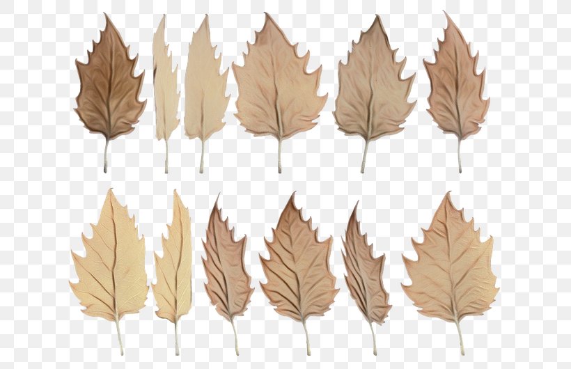 Birch Tree, PNG, 640x530px, Leaf, Autumn, Beige, Black Maple, Cdr Download Free
