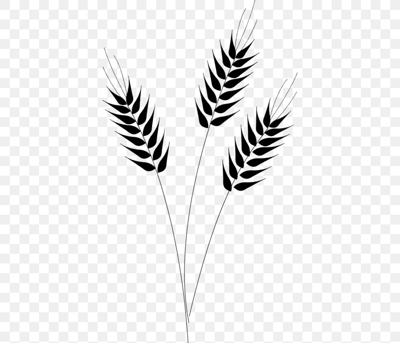 Cereal Grain Common Wheat Clip Art, PNG, 400x703px, Cereal, Barley, Black And White, Bread, Bulgur Download Free