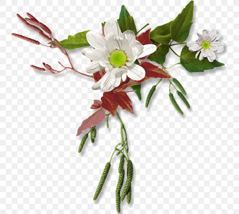 Floral Design Cut Flowers Clip Art, PNG, 745x735px, Floral Design, Artificial Flower, Branch, Cut Flowers, Flower Download Free