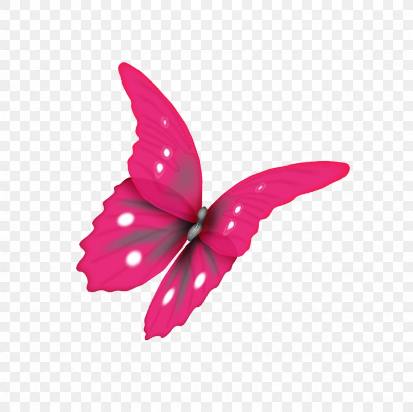 Butterfly Moth PhotoScape, PNG, 2362x2362px, Butterfly, Butterflies And Moths, Drawing, Flower, Insect Download Free