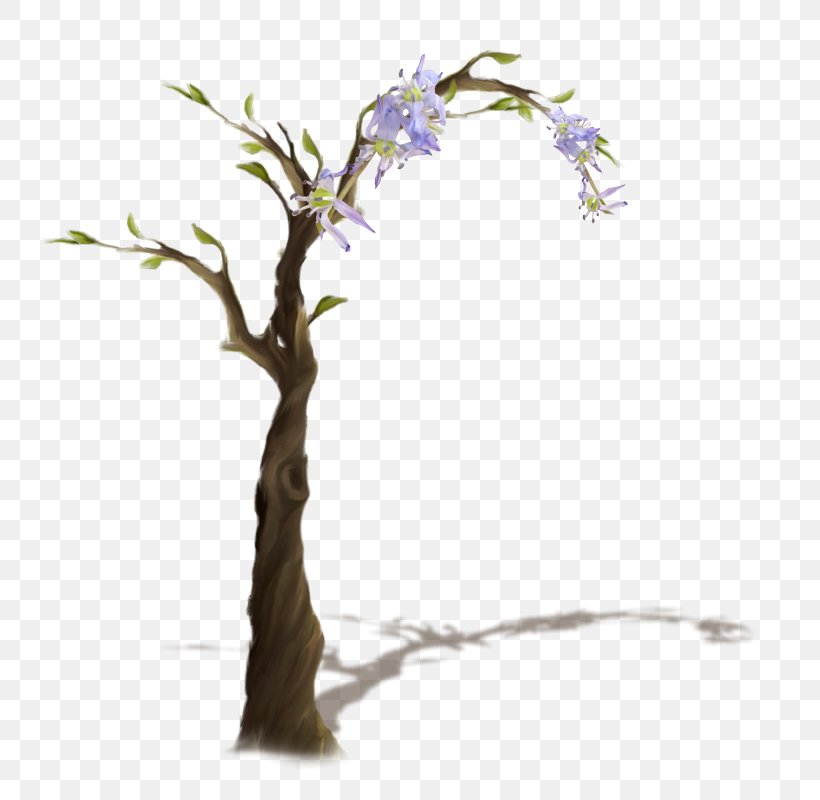Twig Tree Clip Art, PNG, 792x800px, Twig, Branch, Computer Font, Flower, Houseplant Download Free