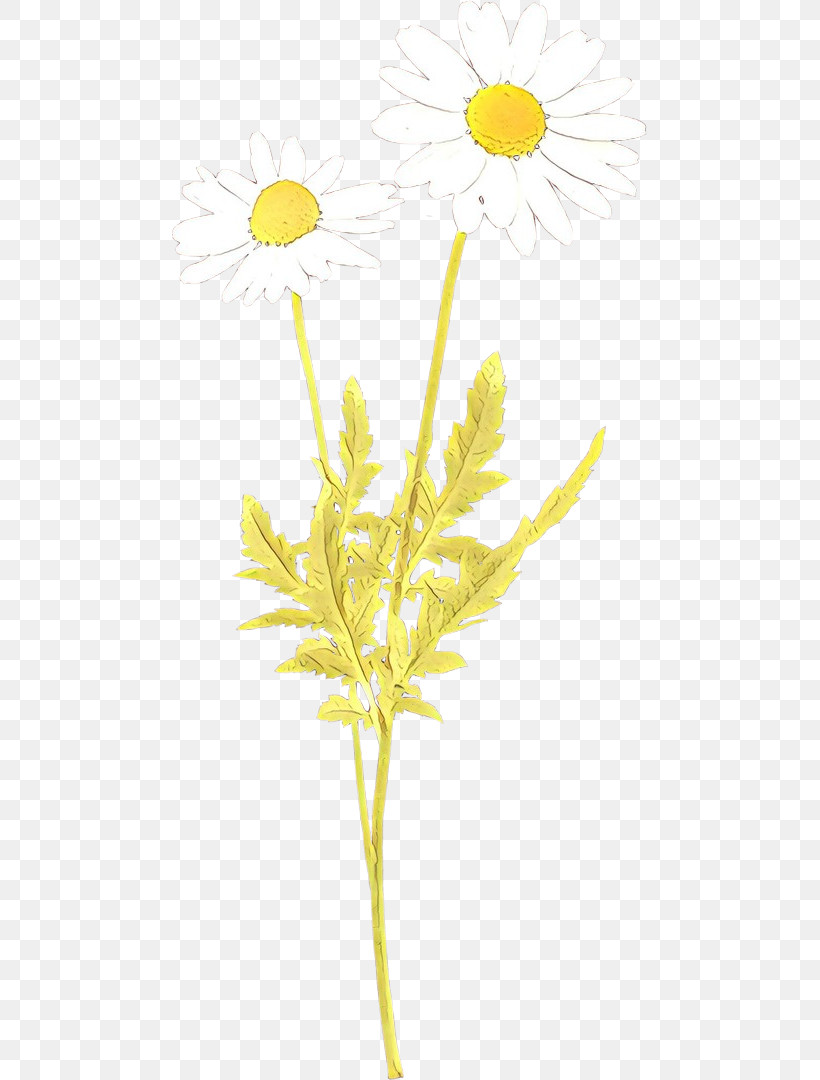 Yellow Plant Flower Pedicel Plant Stem, PNG, 475x1080px, Yellow, Flower, Goldenrod, Pedicel, Plant Download Free