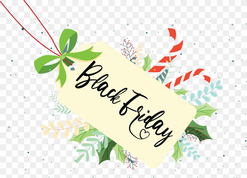 Black Friday Shopping, PNG, 3000x2168px, Black Friday, Biology, Flora, Floral Design, Fruit Download Free