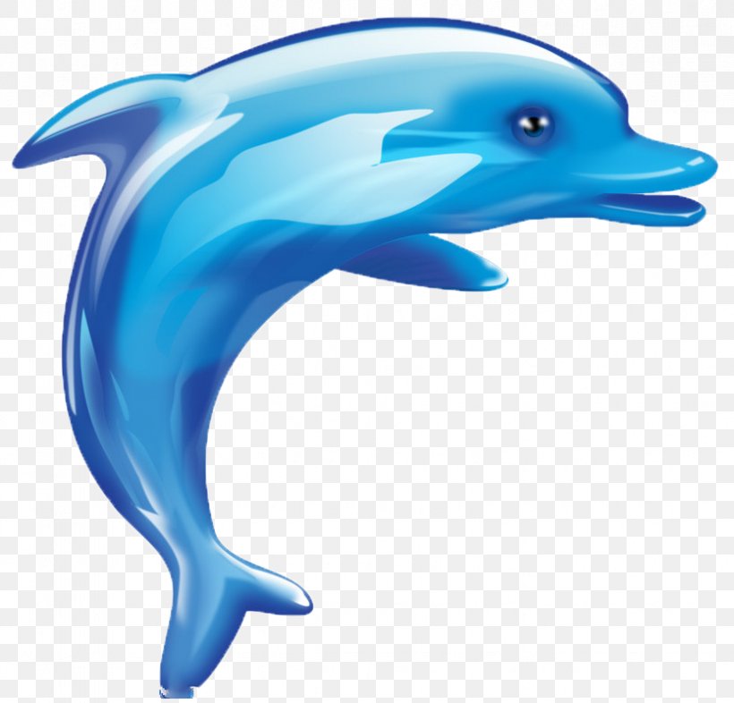 Dolphin Cartoon Cuteness, PNG, 834x800px, Dolphin, Animal, Beak, Cartoon, Child Download Free