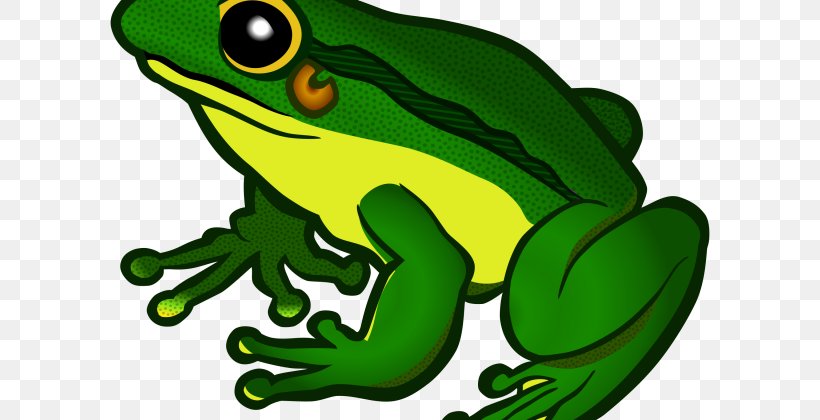Frog Clip Art Transparency Desktop Wallpaper, PNG, 640x420px, Frog, Amphibian, Glass Frog, Green And Golden Bell Frog, Lithobates Clamitans Download Free